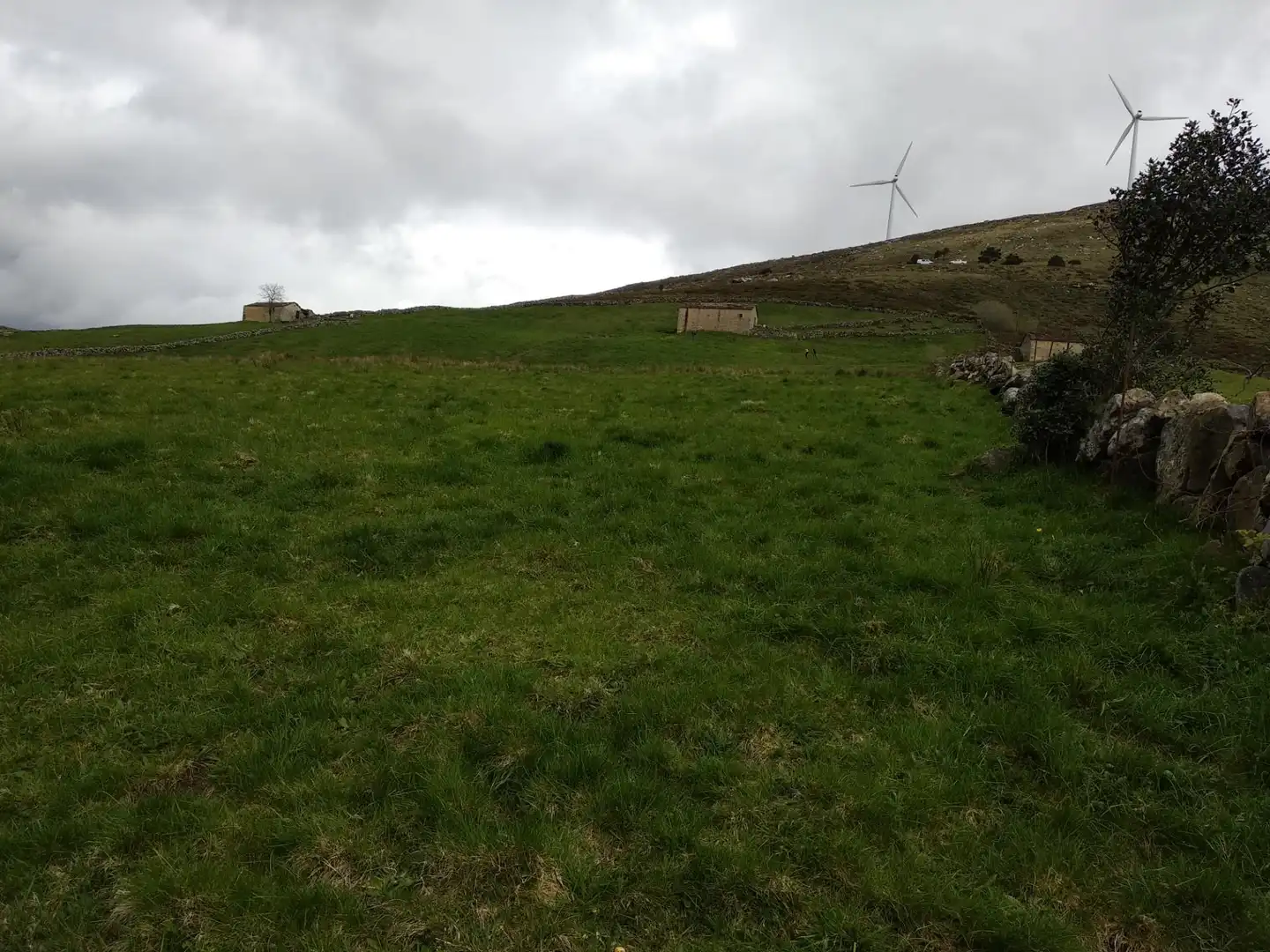 Terreno en venta en Merindad de Valdeporres