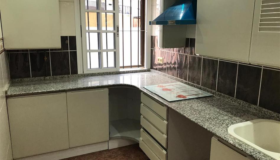 Flat to rent in Calle Lope de Vega, La Calzada - La Florida, Sevilla - image 1 Photo 1 of Flat to rent in Calle Lope de Vega, La Calzada - La Florida, Sevilla