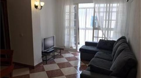 Flat to rent in Calle Lope de Vega, La Calzada - La Florida, Sevilla - image 3 Photo 3 of Flat to rent in Calle Lope de Vega, La Calzada - La Florida, Sevilla