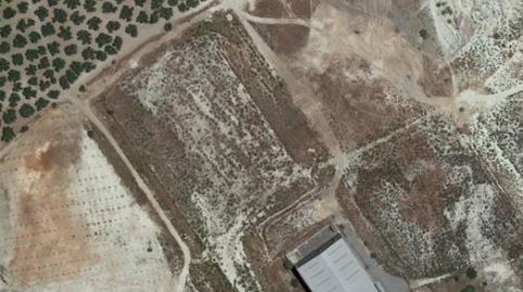 Foto 5 de Terreno en venta en Las Vegas - Campoaras, Lucena