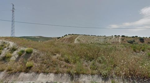 Foto 4 de Terreno en venta en Las Vegas - Campoaras, Lucena