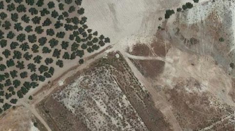 Foto 3 de Terreno en venta en Las Vegas - Campoaras, Lucena