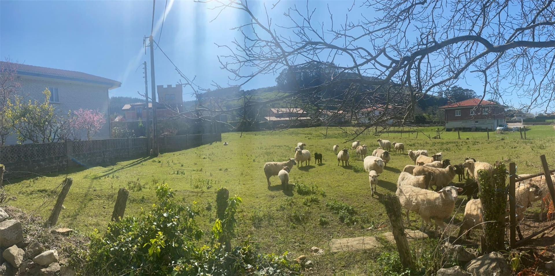 Exterior view of Constructible Land for sale in Alfoz de Lloredo