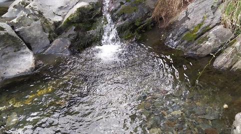 Planta baixa en venda a Avenida Cristo de la Salud, 26, Pinofranqueado, Cáceres - imatge 5 Foto 5 de Planta baixa en venda a Avenida Cristo de la Salud, 26, Pinofranqueado, Cáceres