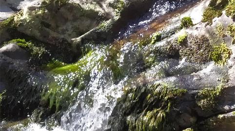 Planta baixa en venda a Avenida Cristo de la Salud, 26, Pinofranqueado, Cáceres - imatge 4 Foto 4 de Planta baixa en venda a Avenida Cristo de la Salud, 26, Pinofranqueado, Cáceres
