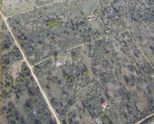 Land for sale in Corrales del Vino