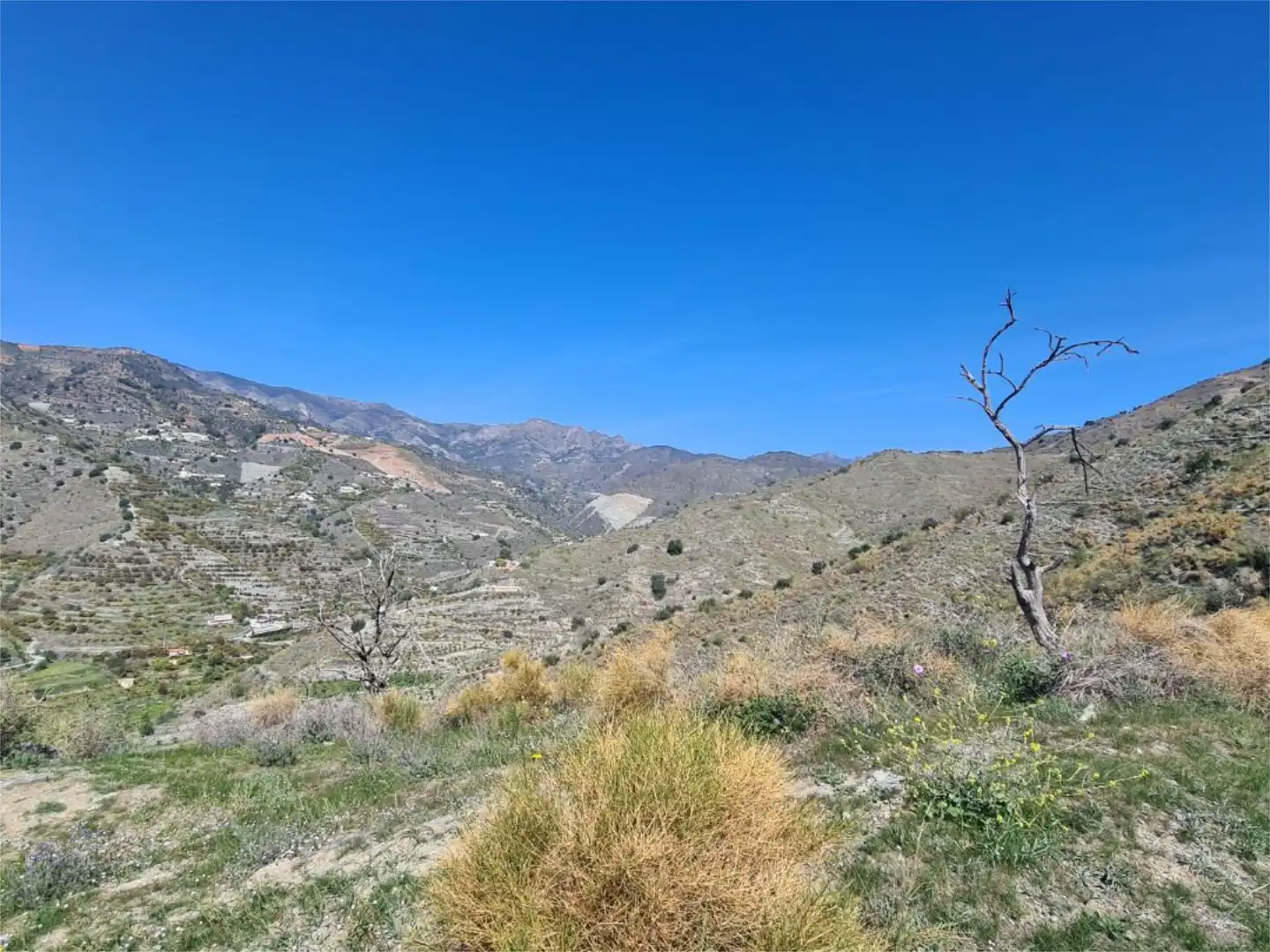 Land for sale in Polígono 22 parcela 308, Almuñecar Centro Land for sale in Almuñécar