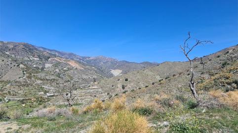 Land for sale in Industrial Estate Polígono 22 Parcela 308, ., Almuñecar Centro, Granada - image 5 Photo 5 of Land for sale in Industrial Estate Polígono 22 Parcela 308, ., Almuñecar Centro, Granada