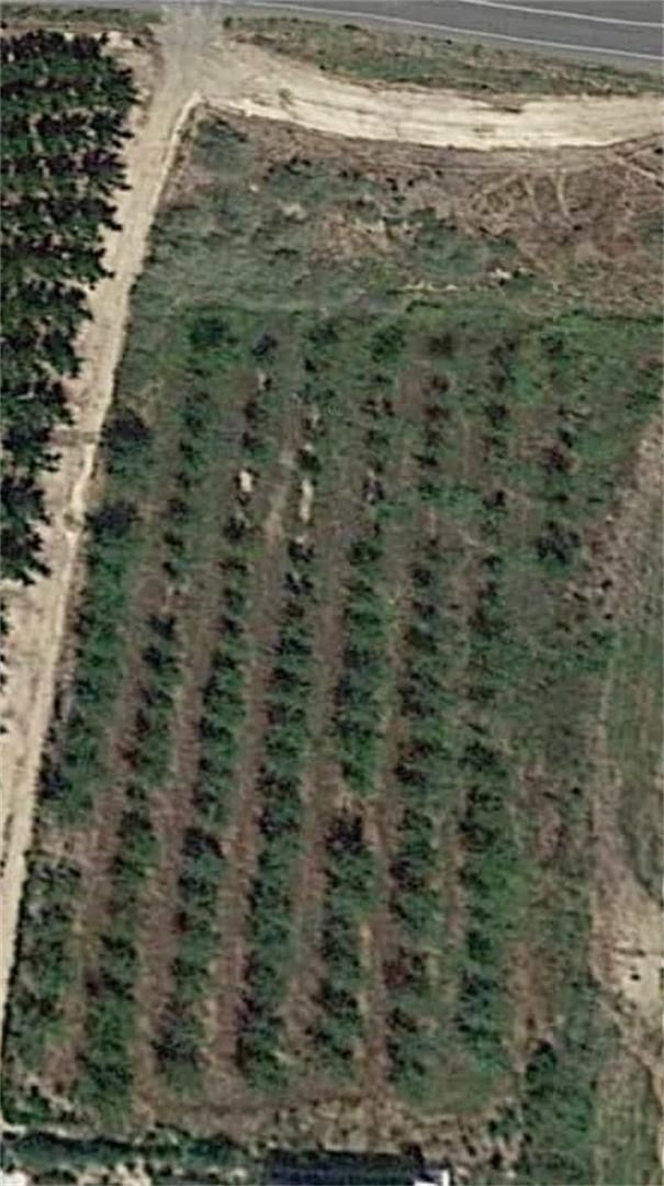 Terreno en venta en Carretera a Soses, Aitona Vista exterior de Terreno en venta en Aitona