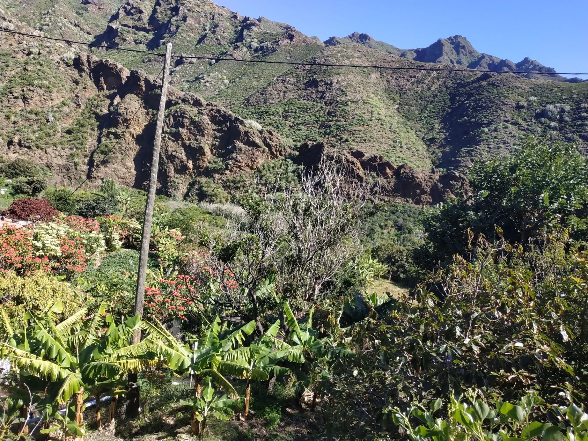 Exterior view of Land for sale in  Santa Cruz de Tenerife Capital