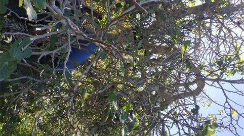 Photo 3 of Land for sale in Carretera Taganana, Anaga,  Santa Cruz de Tenerife Capital