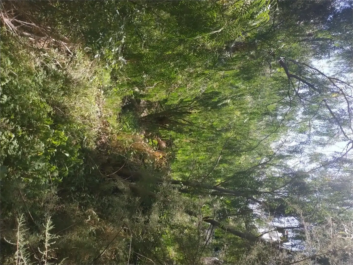 Land for sale in Santa Cruz de Tenerife