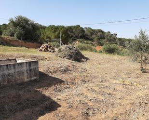 Exterior view of Land for sale in Valverde de Júcar