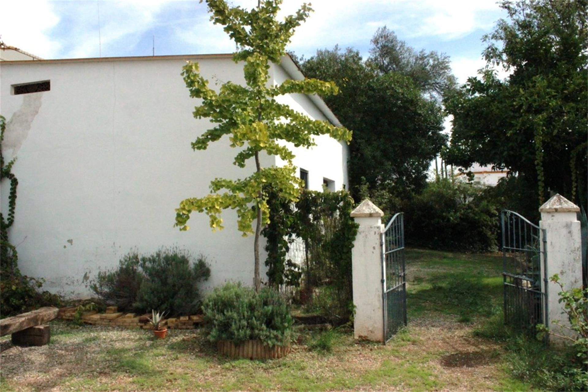 Garden of Duplex for sale in Constantina  with Private garden and Swimming Pool