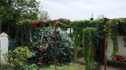 Photo 3 of Duplex for sale in Calle Móstoles, 1, Constantina, Sevilla