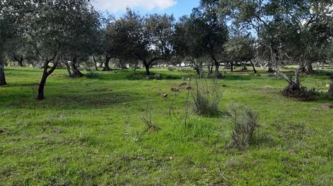 Foto 5 de Terreny en venda a Aroche, Huelva