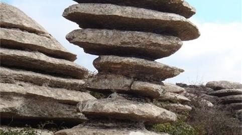 Foto 3 de Terreno en venta en Diseminado Poligono 164, 190, Villanueva de la Concepción, Málaga