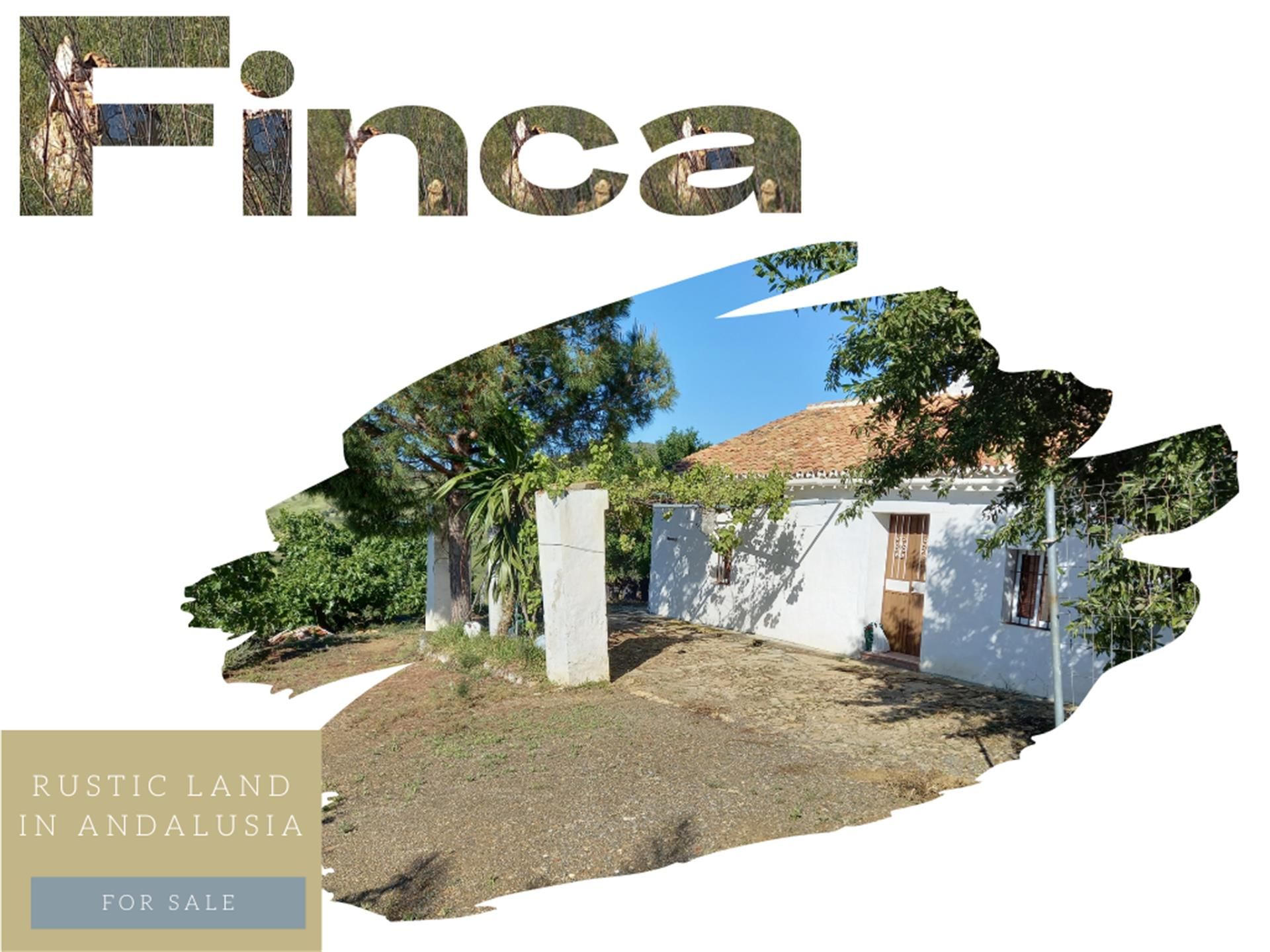 Exterior view of Land for sale in Villanueva de la Concepción