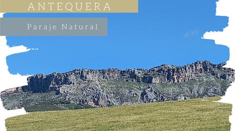 Foto 2 de Terreno en venta en Diseminado Poligono 164, 190, Villanueva de la Concepción, Málaga