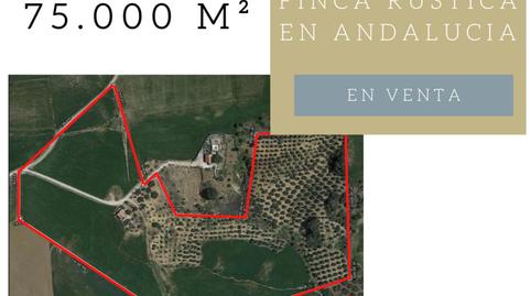 Foto 4 de Terreno en venta en Diseminado Poligono 164, 190, Villanueva de la Concepción, Málaga