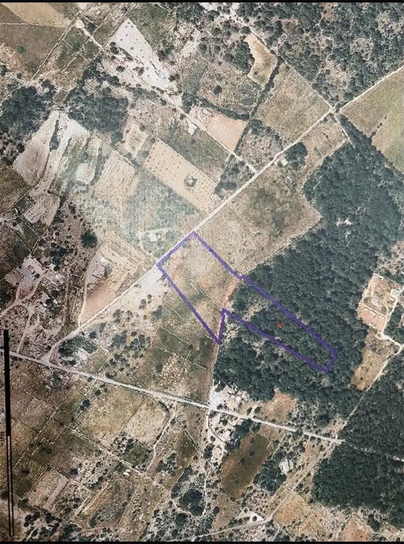 Land for sale in Carrer de s'Almadrava, Formentera Land for sale in Formentera