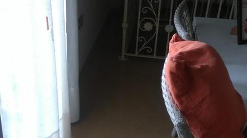 Finca rústica de alquiler en Calle Murcia, 24, Montepinar - La Aparecida - Raiguero, Alicante - imagen 3 Foto 3 de Finca rústica de alquiler en Calle Murcia, 24, Montepinar - La Aparecida - Raiguero, Alicante