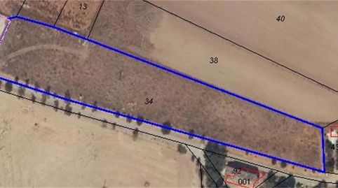 Terreno en venta en Pozorrubio de Santiago, Cuenca - imagen 5 Foto 5 de Terreno en venta en Pozorrubio de Santiago, Cuenca