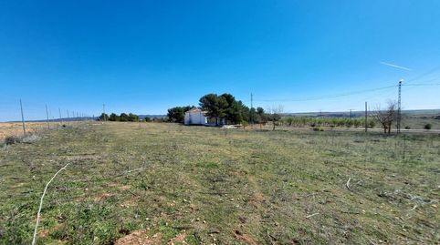 Terreno en venta en Pozorrubio de Santiago, Cuenca - imagen 4 Foto 4 de Terreno en venta en Pozorrubio de Santiago, Cuenca