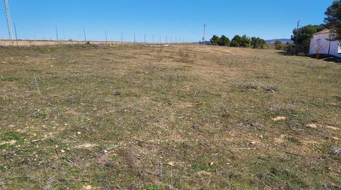 Terreno en venta en Pozorrubio de Santiago, Cuenca - imagen 3 Foto 3 de Terreno en venta en Pozorrubio de Santiago, Cuenca