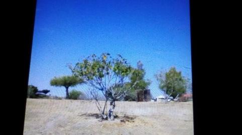 Foto 5 de Urbanitzable en venda a Calle Nuestra Señora de la Asunción, Casco Antiguo, Cáceres