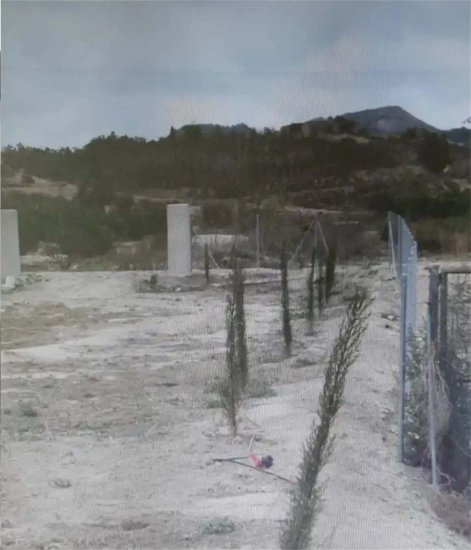 Terreno en venta en Camino del Espartal, Albatera Jardín de Terreno en venta en Albatera