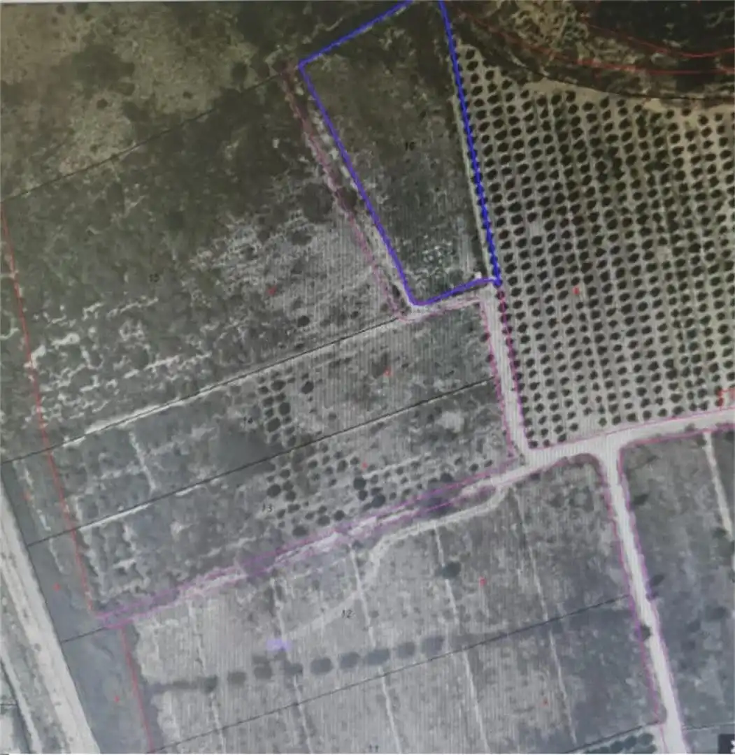 Terreno en venta en Camino del Espartal, Albatera Terreno en venta en Albatera