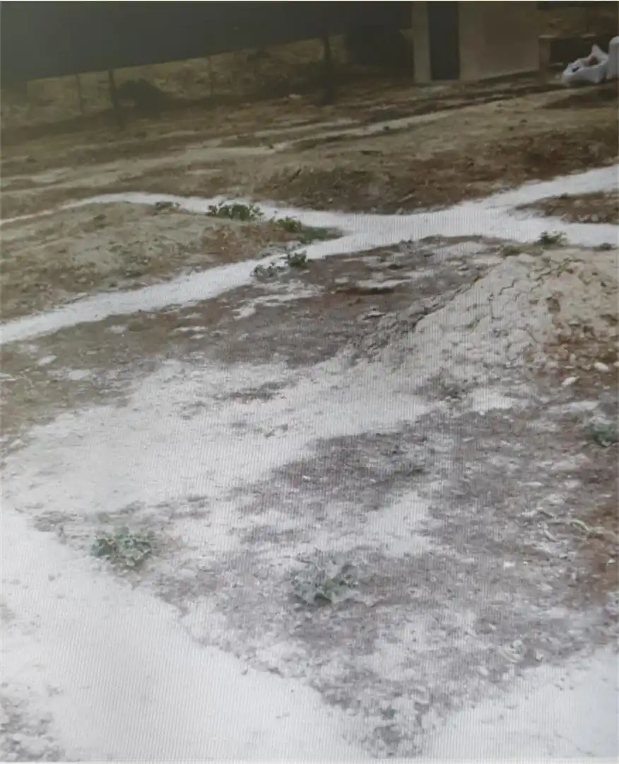 Terreno en venta en Camino del Espartal, Albatera Jardín de Terreno en venta en Albatera