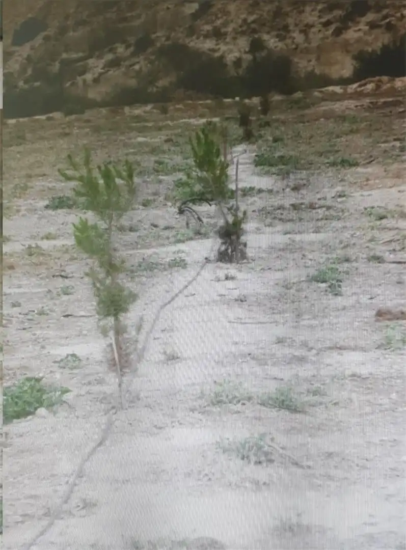 Terreno en venta en Camino del Espartal, Albatera Terreno en venta en Albatera