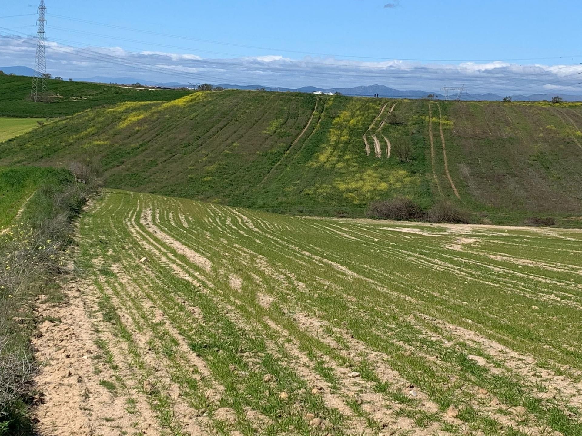 Terreno en venta en Móstoles