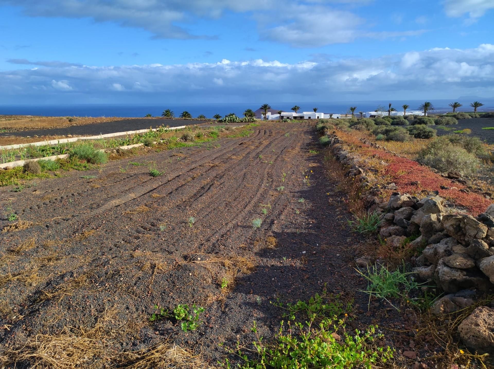 Constructible Land for sale in Tinajo
