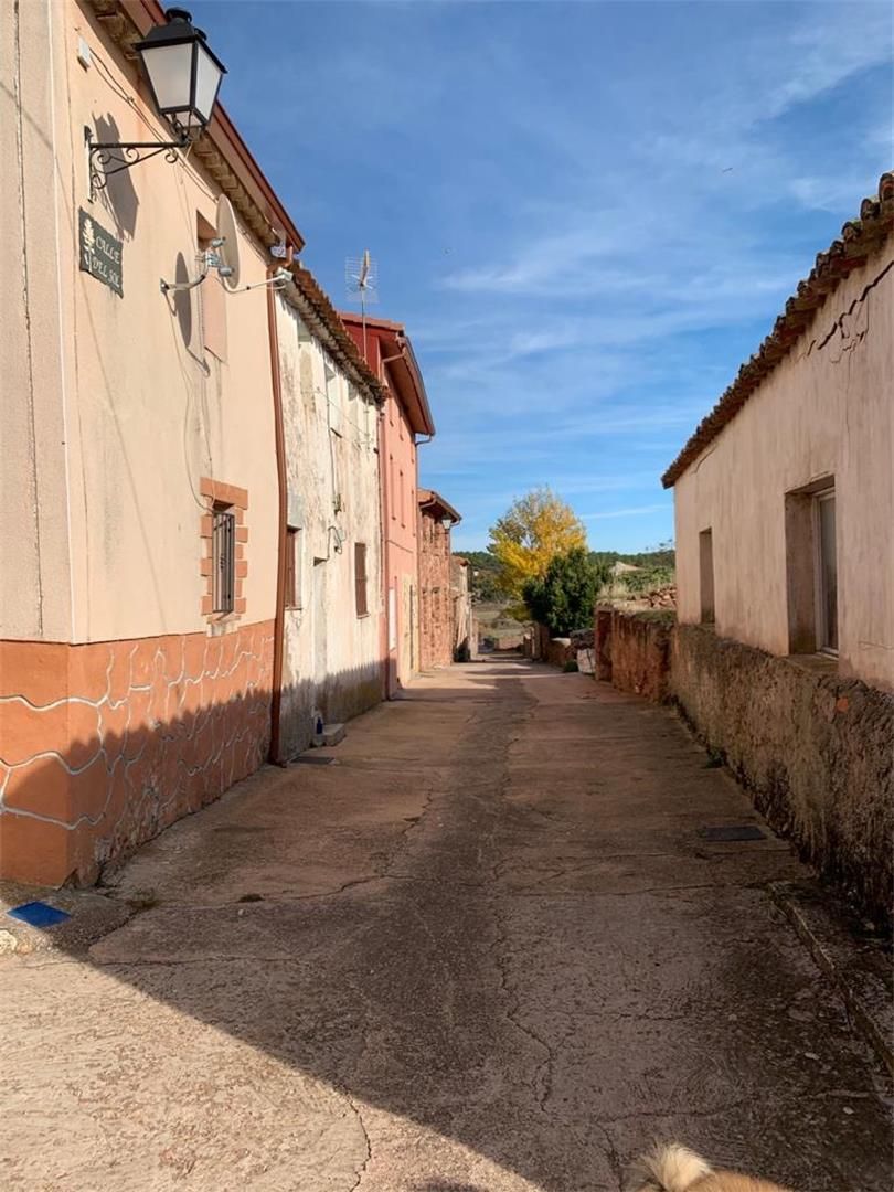 Exterior view of Single-family semi-detached for sale in Iniéstola  with Furnished