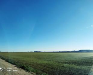 Vista exterior de Terreny en venda en Tarazona de la Mancha