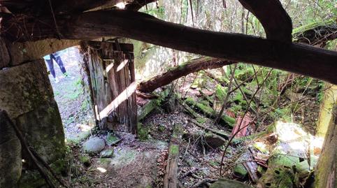 Finca rústica en venda a Entidad Pedreira, A Lama , Pontevedra - imatge 5 Foto 5 de Finca rústica en venda a Entidad Pedreira, A Lama , Pontevedra