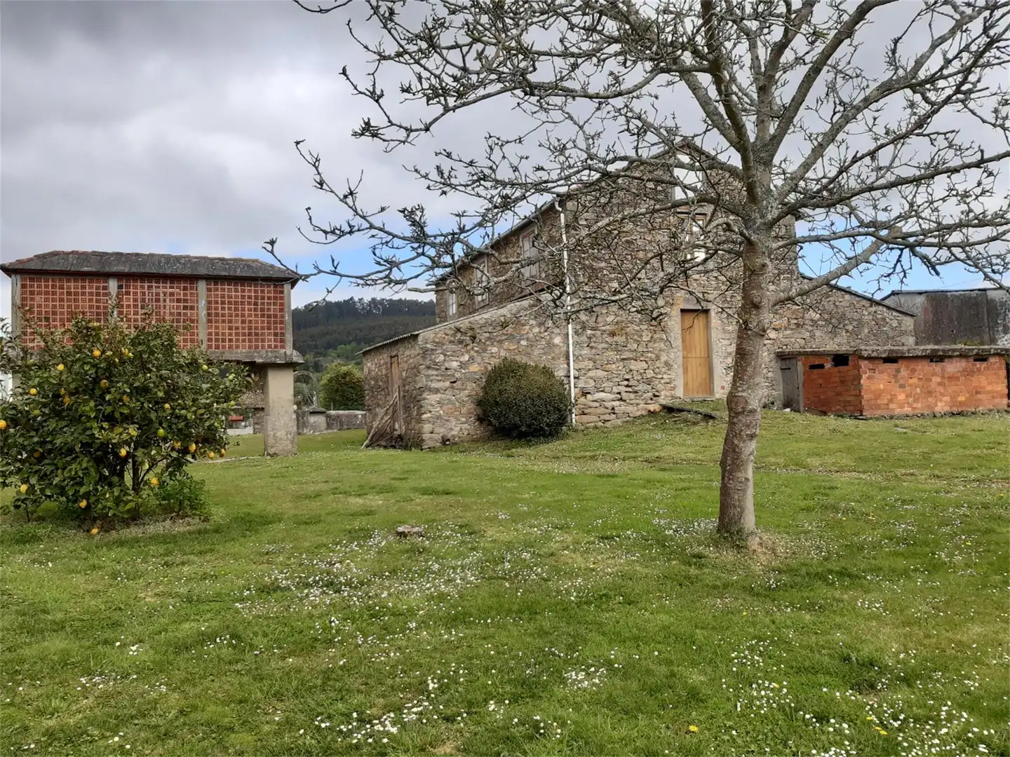 Country homes for sale in A Borrallada-sedes, Sedes - Pedroso - Doso Exterior view of Country homes for sale in Narón