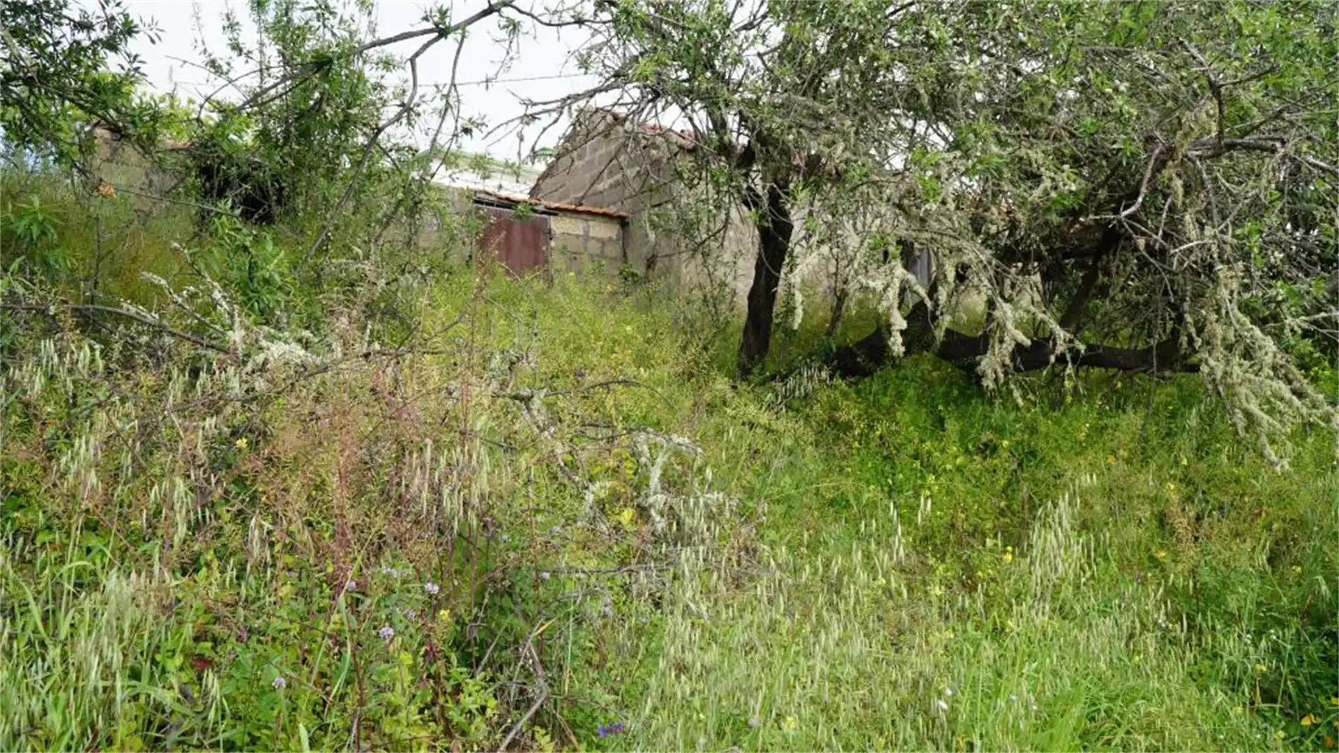 Bebaubares Gelände zum Verkauf in Camino Cruz del Llano, Tijarafe Bebaubares Gelände zum Verkauf in Tijarafe