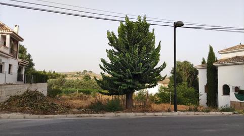 Land for sale in Carretera Huéscar, Galera, Granada - image 2 Photo 2 of Land for sale in Carretera Huéscar, Galera, Granada