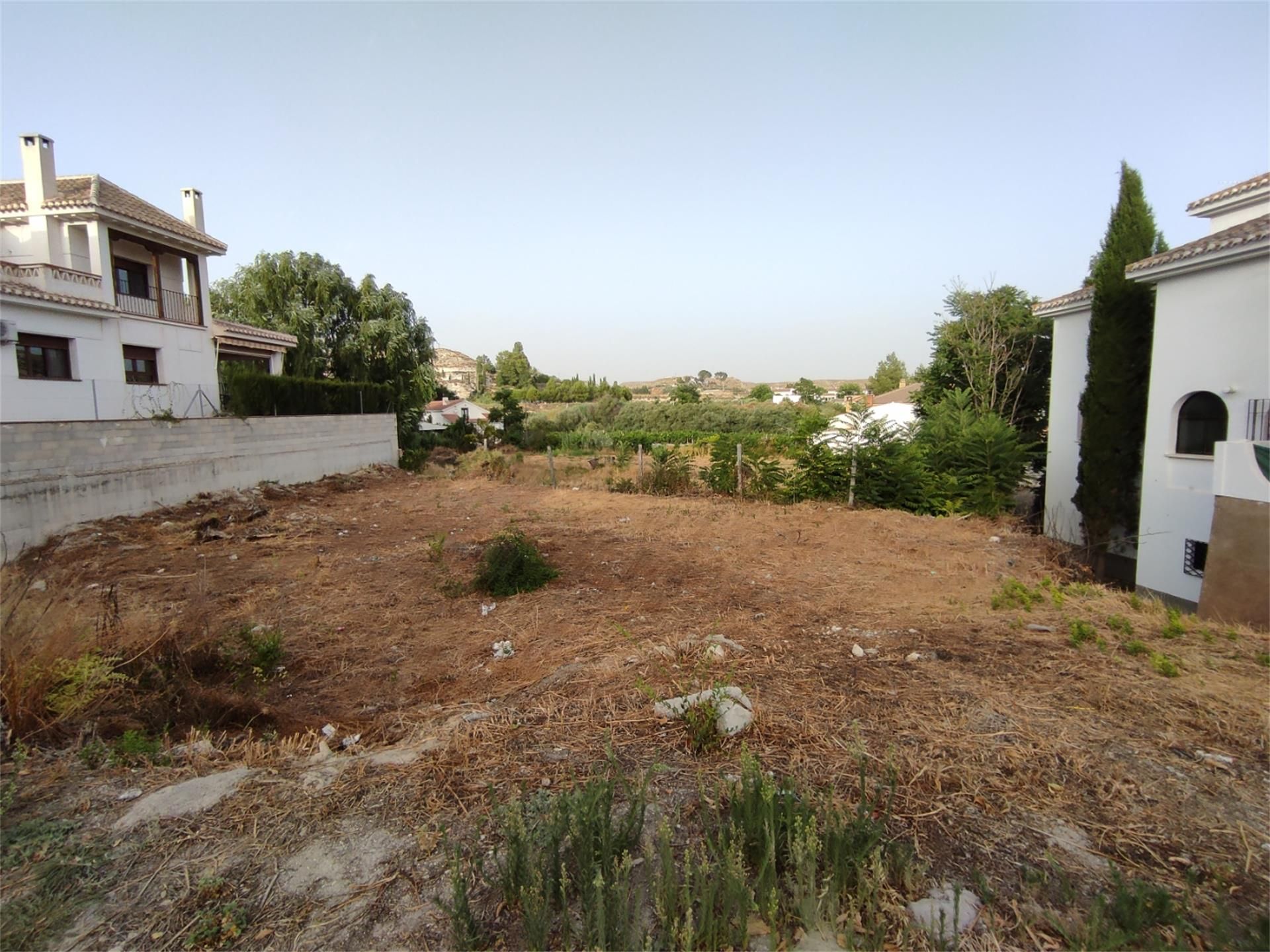 Land for sale in Galera