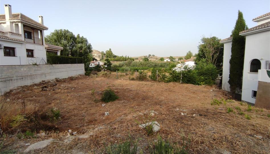 Land for sale in Carretera Huéscar, Galera, Granada - image 1 Photo 1 of Land for sale in Carretera Huéscar, Galera, Granada
