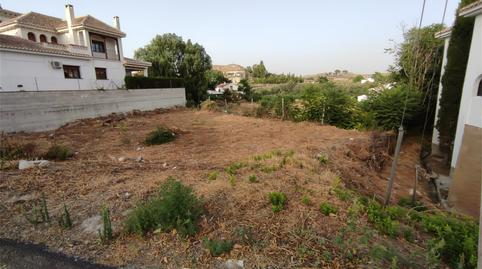 Land for sale in Carretera Huéscar, Galera, Granada - image 4 Photo 4 of Land for sale in Carretera Huéscar, Galera, Granada