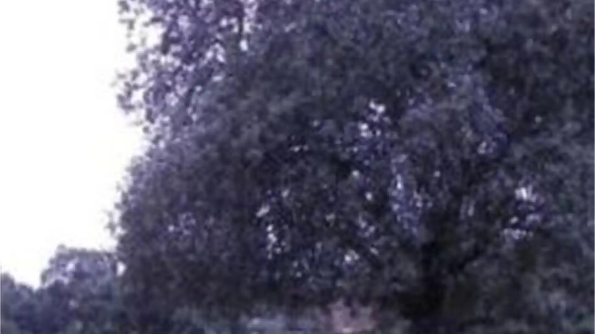 Vista exterior de Terreno en venta en Brenes