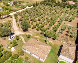 Finca rústica en venda en Medina-Sidonia amb Jardí privat, Terrassa i Traster