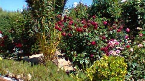 Foto 2 de Casa o xalet de lloguer a To-1927, Fuensalida, Toledo