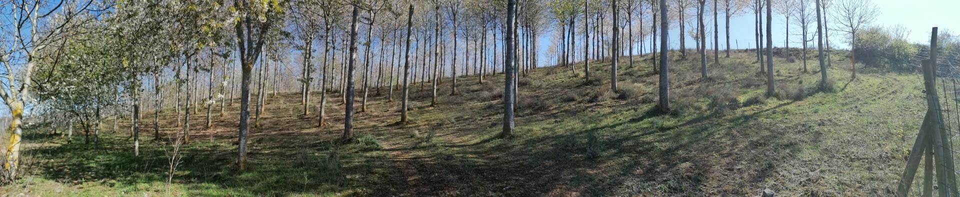 Außenansicht von Grundstücke zum verkauf in San Millán de la Cogolla