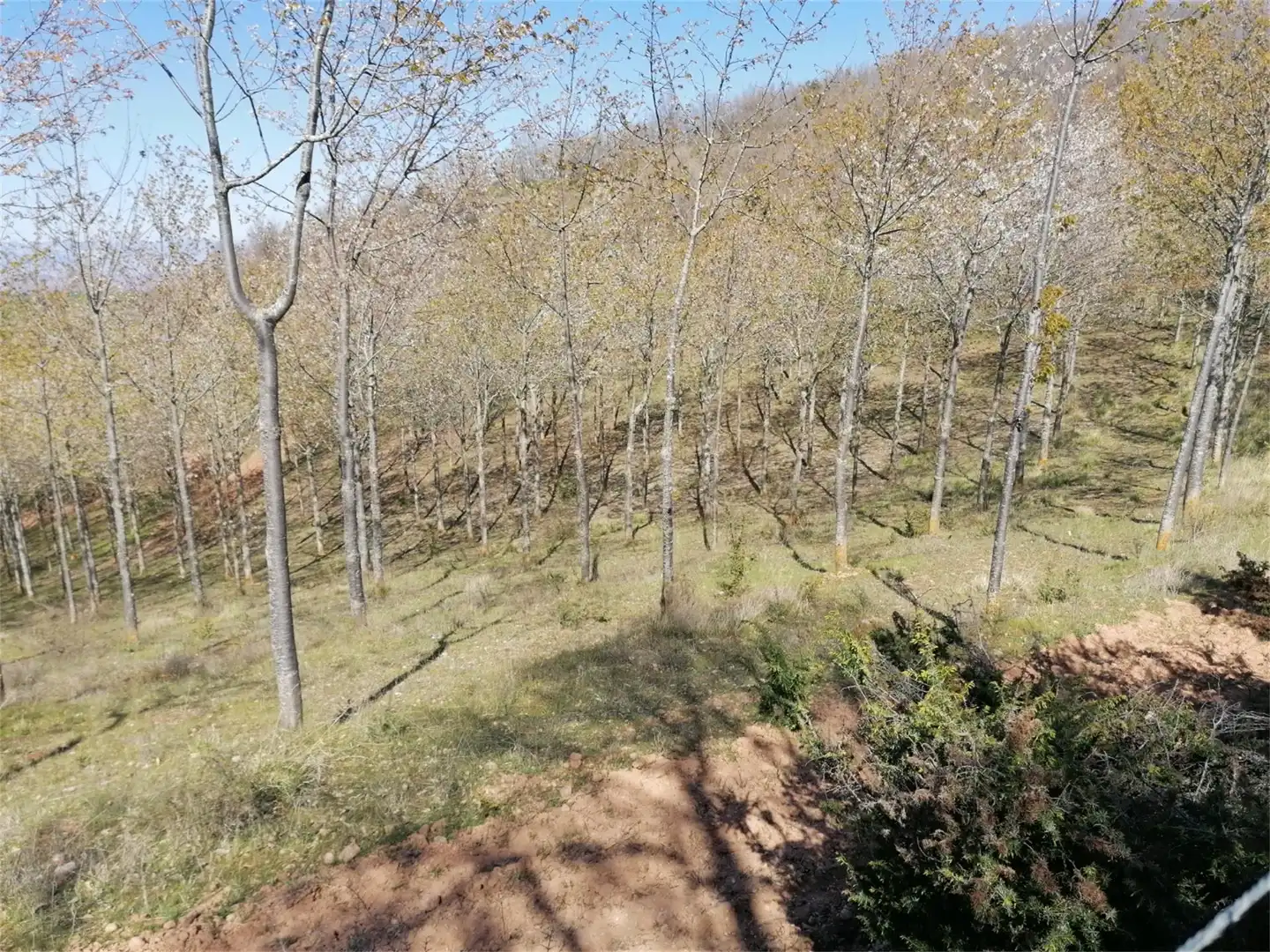 Terreno en venta en Calle Suso, 17, San Millán de la Cogolla Terreno en venta en San Millán de la Cogolla